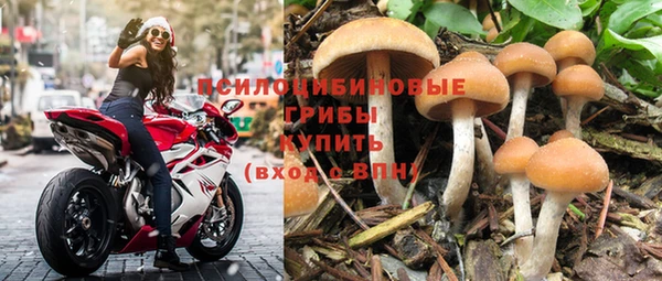 винт Балахна