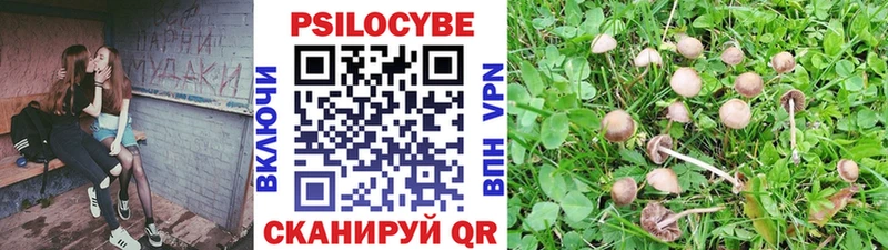 Псилоцибиновые грибы прущие грибы  Корсаков 